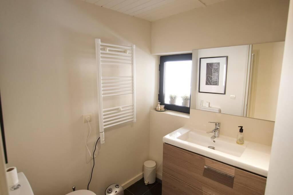 Apartament Central Amb Terrassa Alp Ngoại thất bức ảnh